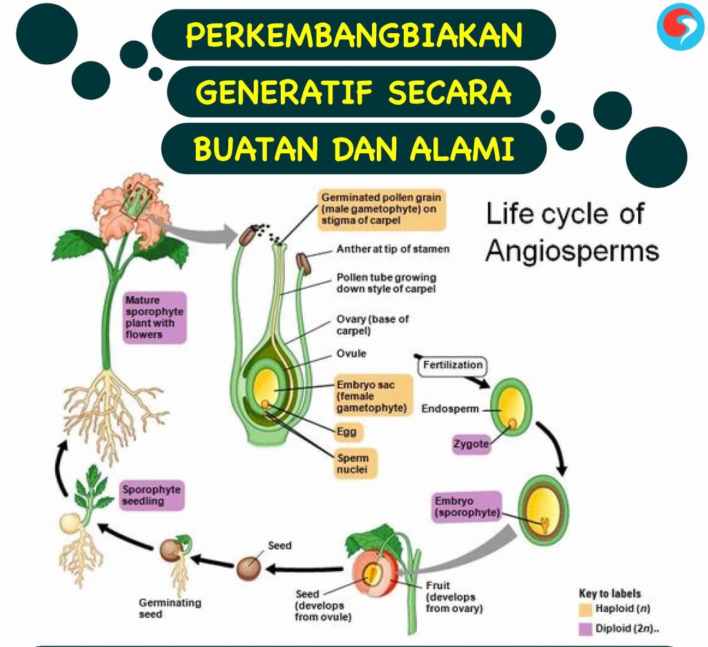 PERKEMBANGBIAKAN GENERATIF