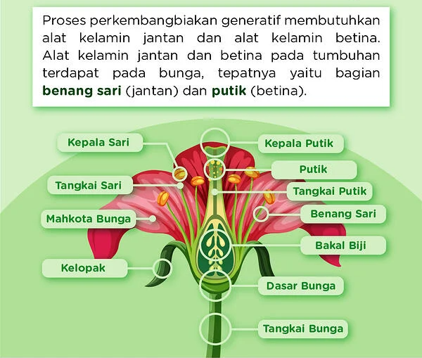 PERKEMBANGBIAKAN GENERATIF